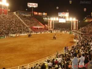 Rodeio de Jandira 2024 - Ingressos, Shows 2024