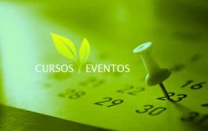 Curso de Eventos Gratuito 2025 2025