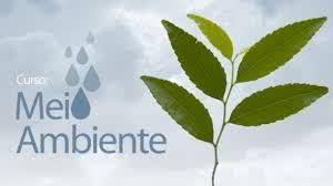 Curso de Meio Ambiente Gratuito 2025 2025