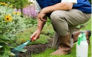 Curso de Jardinagem Gratuito 2025 2025